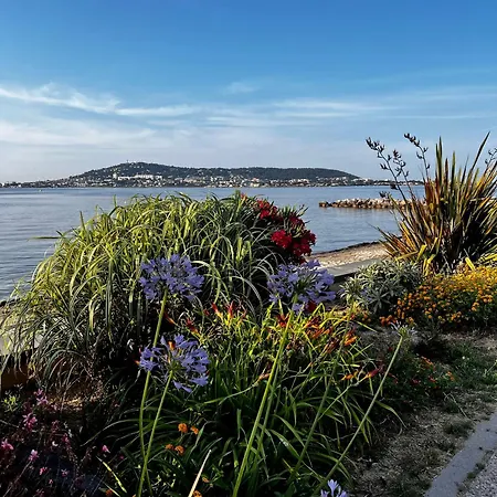 Apartman Le Panoramic -superbe T2 Face Aux Thermes- *